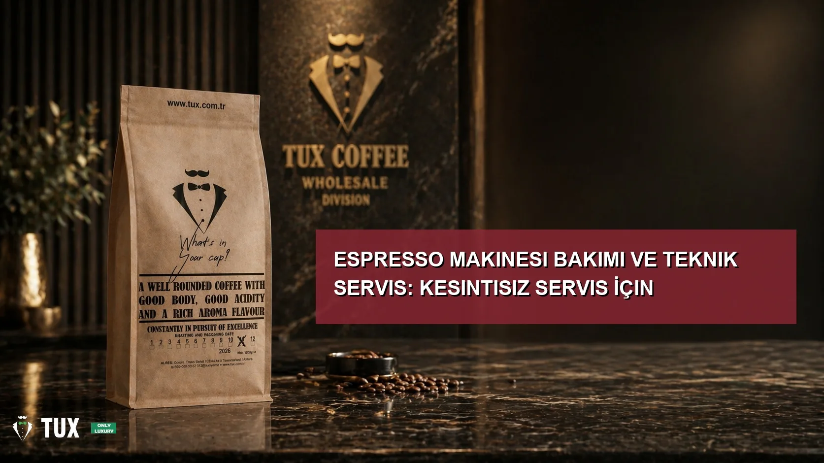 Espresso Makinesi Bakımı ve Teknik Servis: Kesintisiz Servis İçin