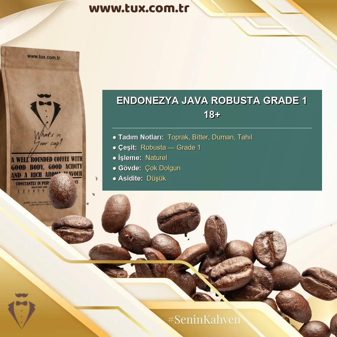 Endonezya Java Robusta Grade 1 18+