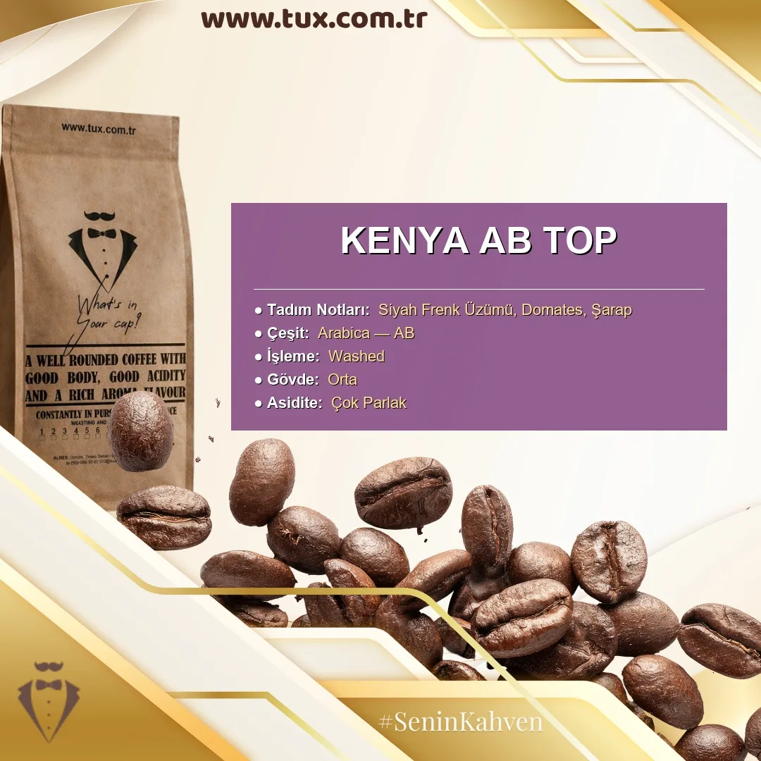 Kenya AB TOP